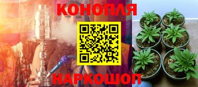 крисы Конаково